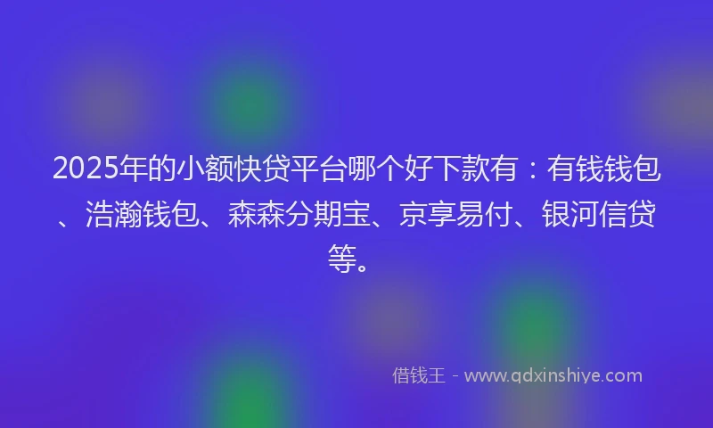 2025年的小额快贷平台哪个好下款有：有钱钱包、浩瀚钱包、森森分期宝、京享易付、银河信贷等。