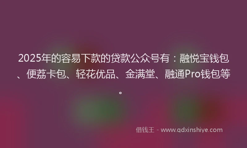 2025年的容易下款的贷款公众号有：融悦宝钱包、便荔卡包、轻花优品、金满堂、融通Pro钱包等。