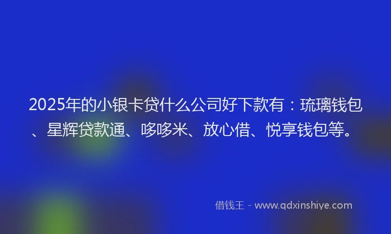 2025年的小银卡贷什么公司好下款有：琉璃钱包、星辉贷款通、哆哆米、放心借、悦享钱包等。