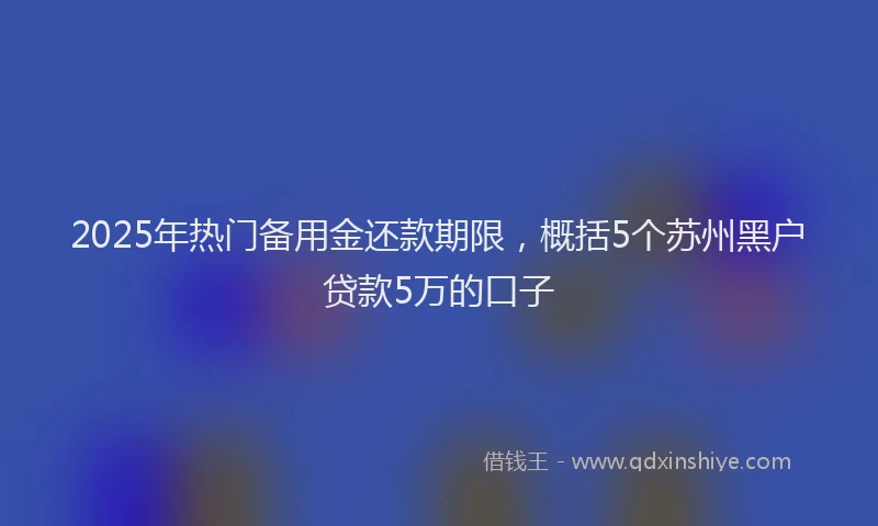 2025年热门备用金还款期限，概括5个苏州黑户贷款5万的口子
