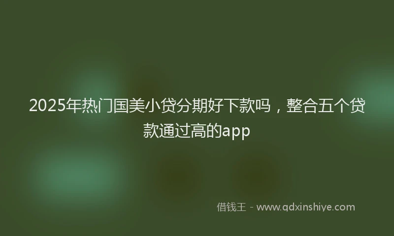 2025年热门国美小贷分期好下款吗，整合五个贷款通过高的app