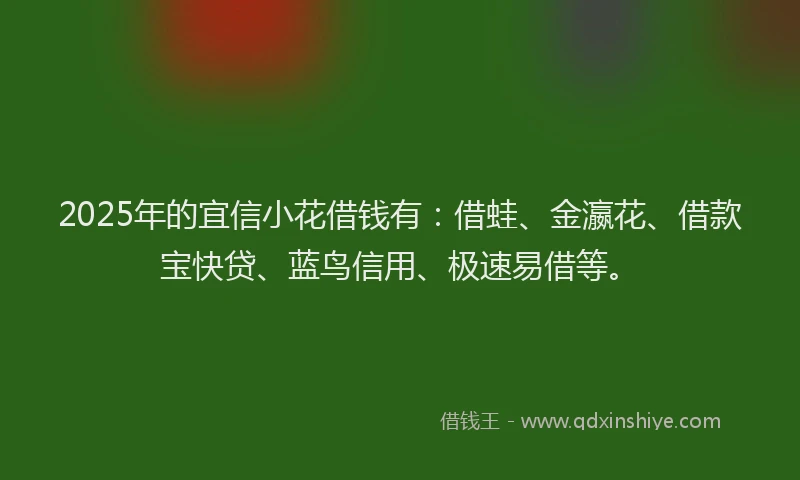 2025年的宜信小花借钱有：借蛙、金瀛花、借款宝快贷、蓝鸟信用、极速易借等。