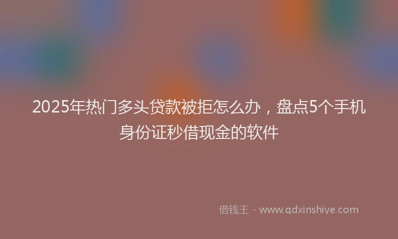 2025年热门多头贷款被拒怎么办，盘点5个手机身份证秒借现金的软件