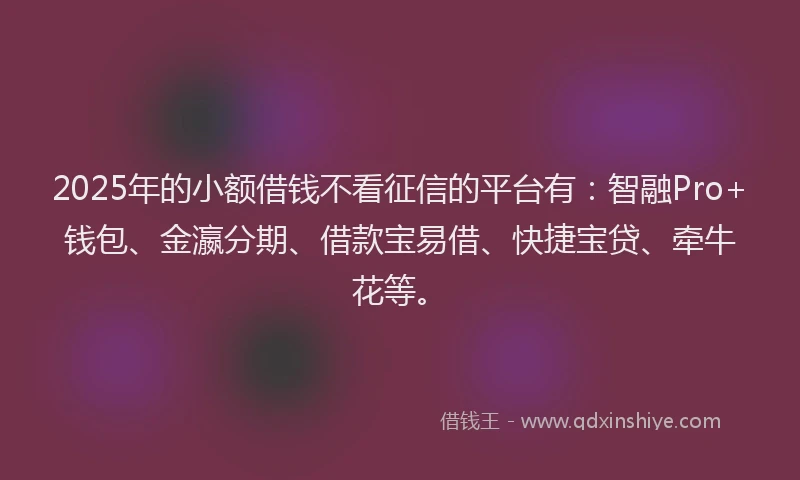 2025年的小额借钱不看征信的平台有：智融Pro+钱包、金瀛分期、借款宝易借、快捷宝贷、牵牛花等。