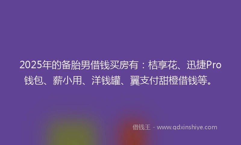 2025年的备胎男借钱买房有：桔享花、迅捷Pro钱包、薪小用、洋钱罐、翼支付甜橙借钱等。