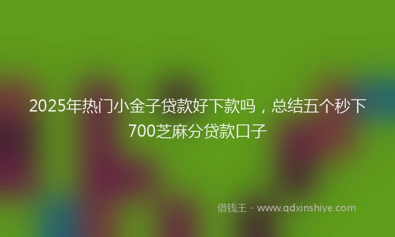 2025年热门小金子贷款好下款吗，总结五个秒下700芝麻分贷款口子