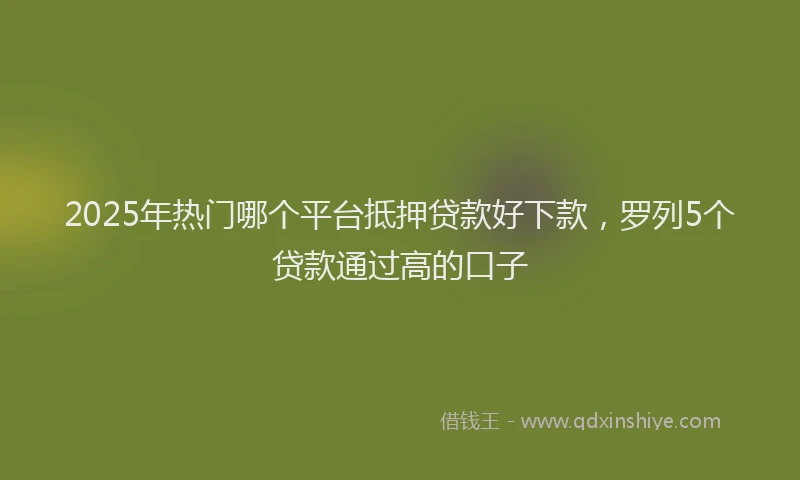 2025年热门哪个平台抵押贷款好下款，罗列5个贷款通过高的口子