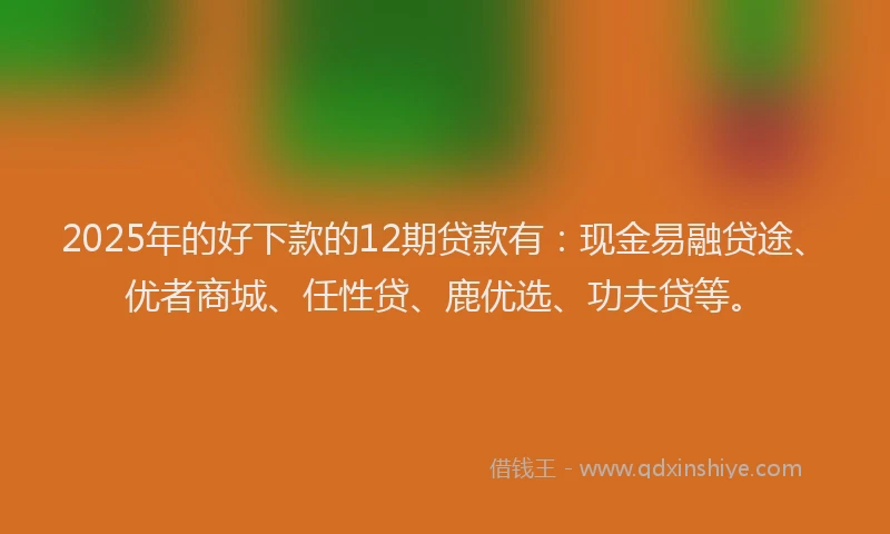 2025年的好下款的12期贷款有：现金易融贷途、优者商城、任性贷、鹿优选、功夫贷等。