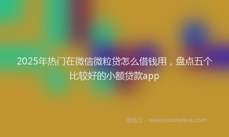 2025年热门在微信微粒贷怎么借钱用，盘点五个比较好的小额贷款app