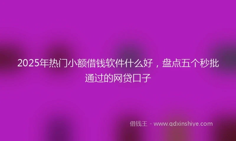 2025年热门小额借钱软件什么好，盘点五个秒批通过的网贷口子