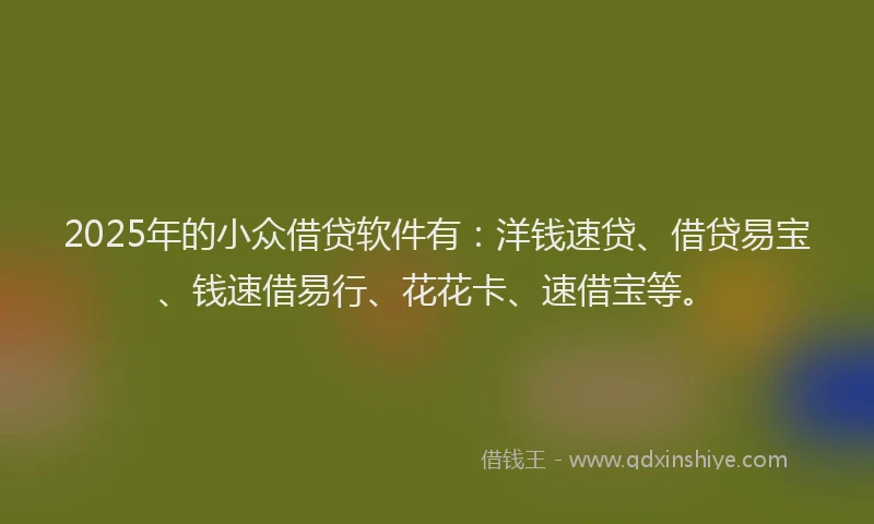 2025年的小众借贷软件有：洋钱速贷、借贷易宝、钱速借易行、花花卡、速借宝等。