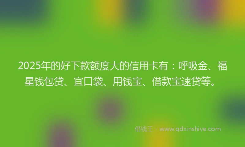 2025年的好下款额度大的信用卡有：呼吸金、福星钱包贷、宜口袋、用钱宝、借款宝速贷等。
