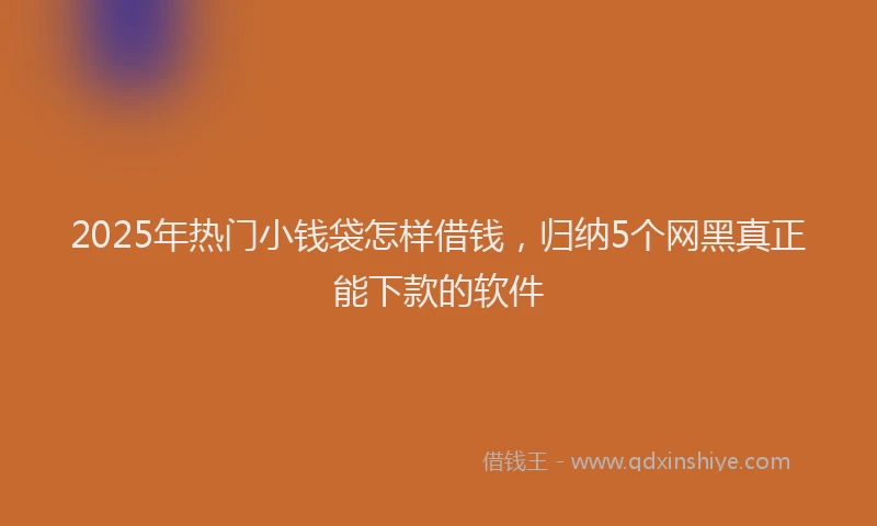 2025年热门小钱袋怎样借钱,归纳5个网黑真正能下款的软件