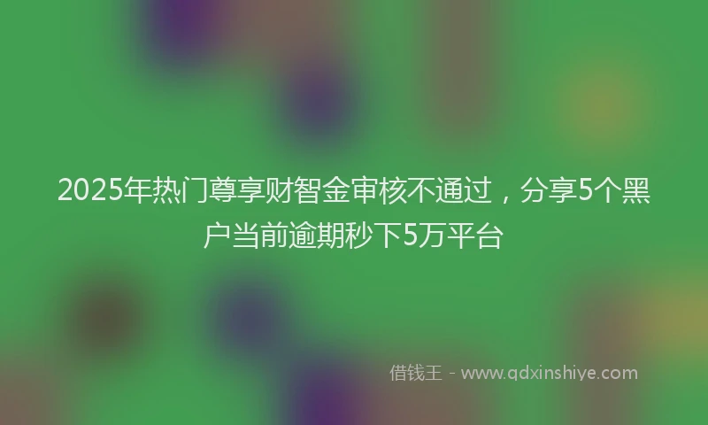 2025年热门尊享财智金审核不通过，分享5个黑户当前逾期秒下5万平台