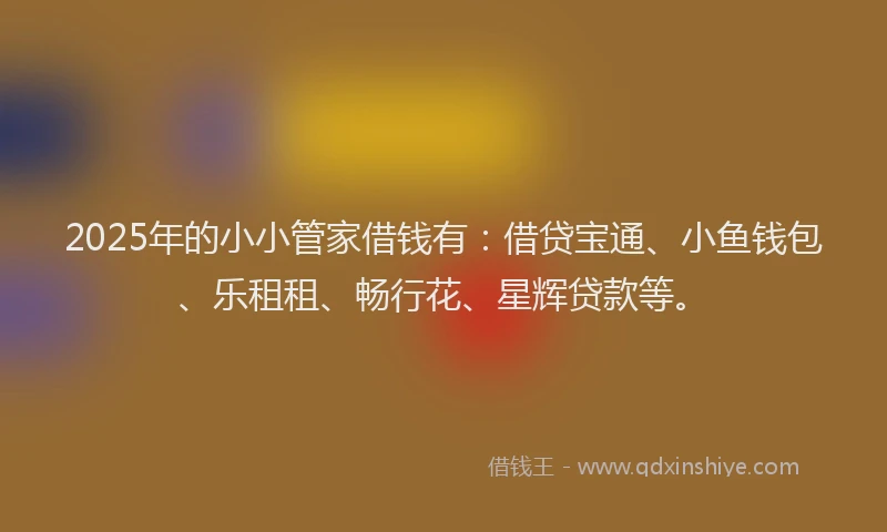 2025年的小小管家借钱有：借贷宝通、小鱼钱包、乐租租、畅行花、星辉贷款等。