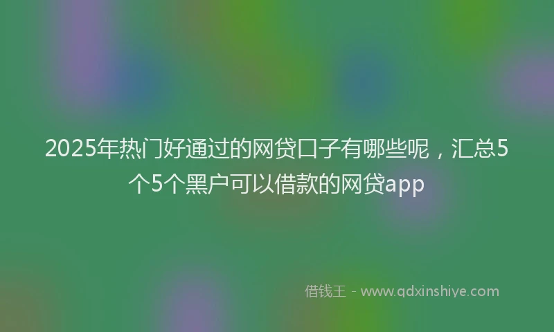 2025年热门好通过的网贷口子有哪些呢，汇总5个5个黑户可以借款的网贷app