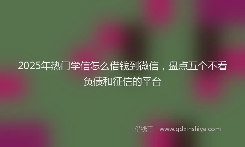2025年热门学信怎么借钱到微信，盘点五个不看负债和征信的平台