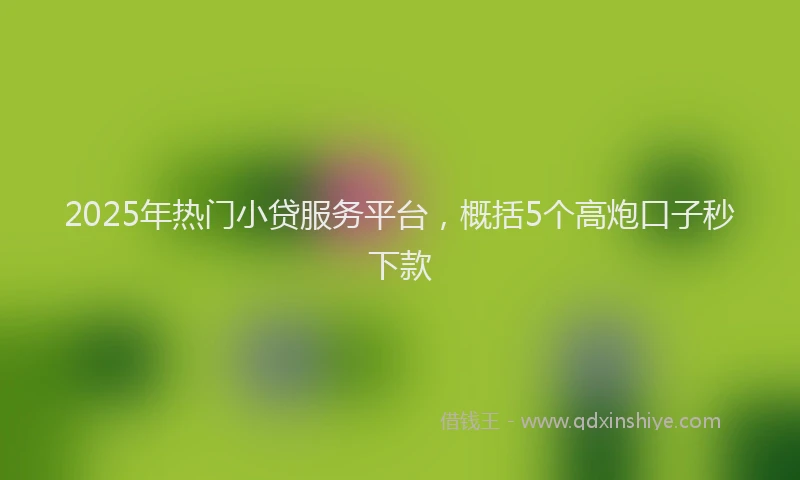 2025年热门小贷服务平台，概括5个高炮口子秒下款
