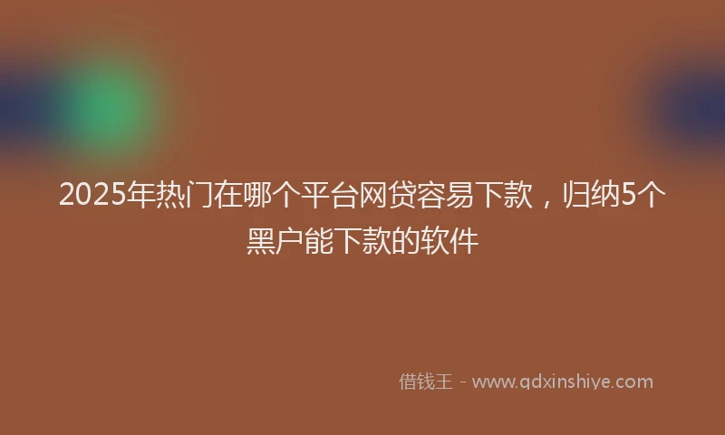 2025年热门在哪个平台网贷容易下款，归纳5个黑户能下款的软件