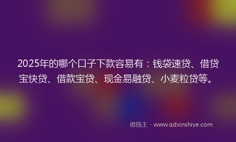 2025年的哪个口子下款容易有：钱袋速贷、借贷宝快贷、借款宝贷、现金易融贷、小麦粒贷等。