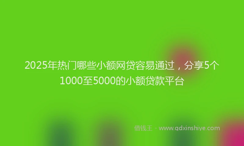 2025年热门哪些小额网贷容易通过，分享5个1000至5000的小额贷款平台
