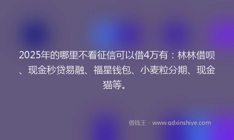 2025年的哪里不看征信可以借4万有：林林借呗、现金秒贷易融、福星钱包、小麦粒分期、现金猫等。