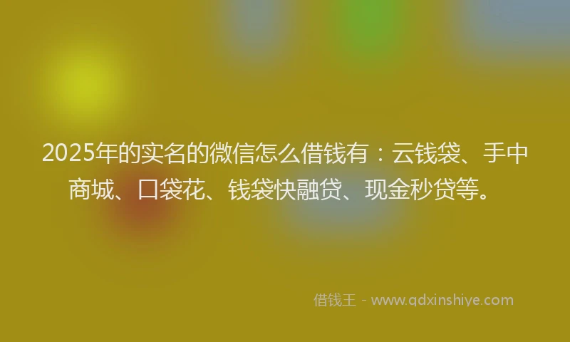 2025年的实名的微信怎么借钱有：云钱袋、手中商城、口袋花、钱袋快融贷、现金秒贷等。