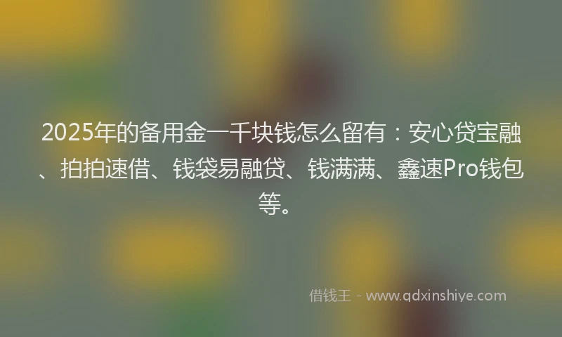 2025年的备用金一千块钱怎么留有：安心贷宝融、拍拍速借、钱袋易融贷、钱满满、鑫速Pro钱包等。