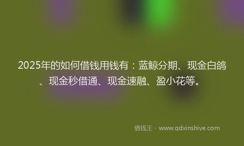 2025年的如何借钱用钱有：蓝鲸分期、现金白鸽、现金秒借通、现金速融、盈小花等。