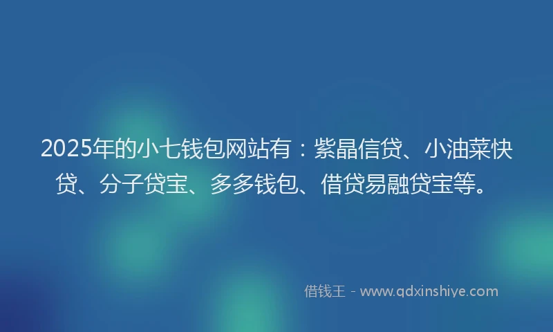 2025年的小七钱包网站有：紫晶信贷、小油菜快贷、分子贷宝、多多钱包、借贷易融贷宝等。