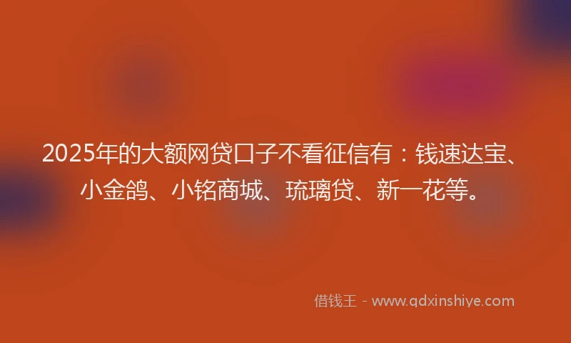 2025年的大额网贷口子不看征信有：钱速达宝、小金鸽、小铭商城、琉璃贷、新一花等。
