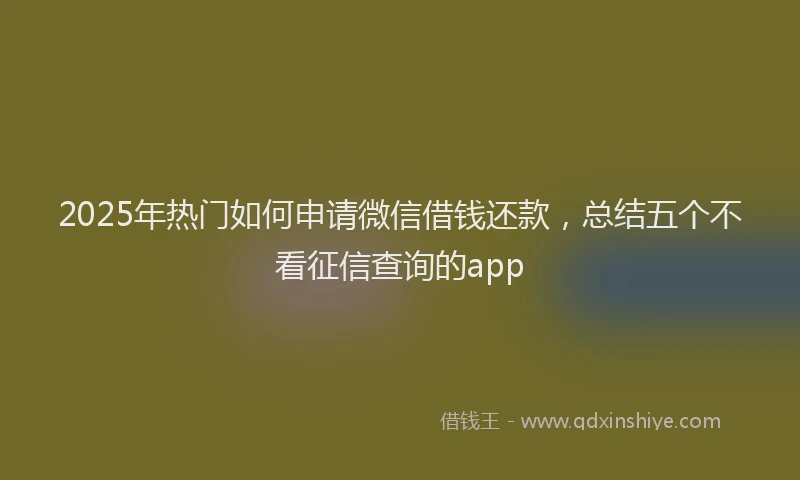 2025年热门如何申请微信借钱还款，总结五个不看征信查询的app
