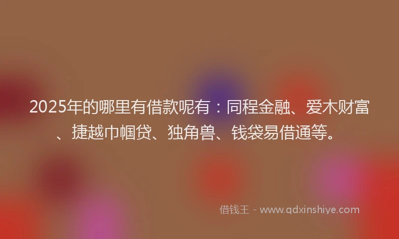 2025年的哪里有借款呢有：同程金融、爱木财富、捷越巾帼贷、独角兽、钱袋易借通等。