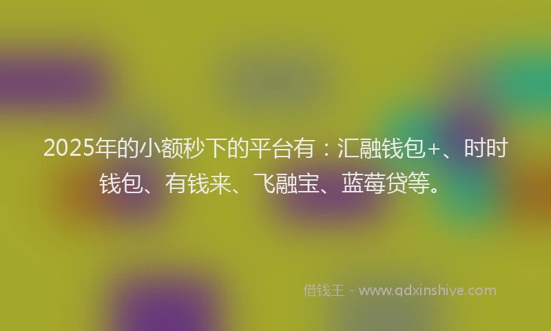 2025年的小额秒下的平台有：汇融钱包+、时时钱包、有钱来、飞融宝、蓝莓贷等。