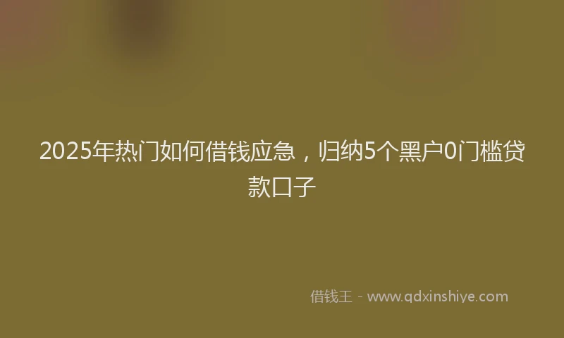 2025年热门如何借钱应急，归纳5个黑户0门槛贷款口子
