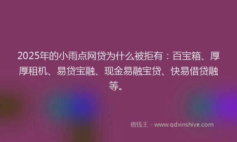 2025年的小雨点网贷为什么被拒有：百宝箱、厚厚租机、易贷宝融、现金易融宝贷、快易借贷融等。