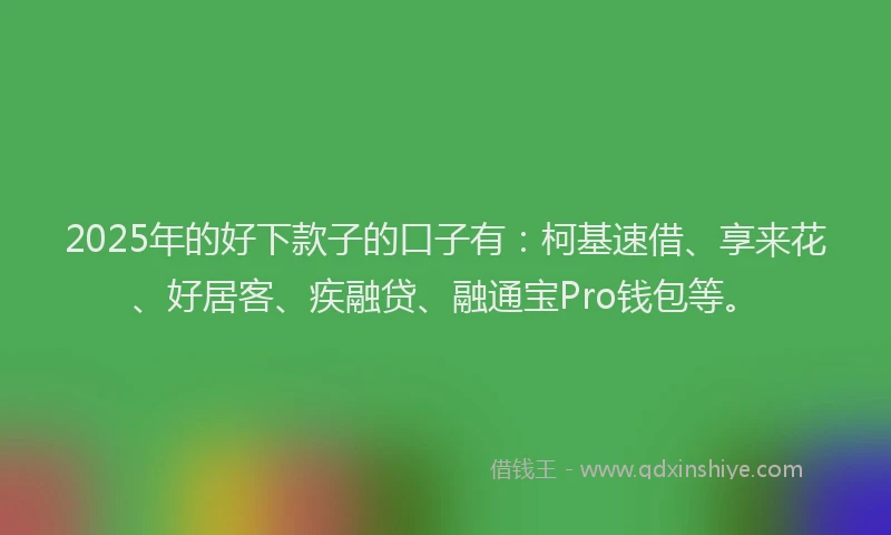 2025年的好下款子的口子有：柯基速借、享来花、好居客、疾融贷、融通宝Pro钱包等。