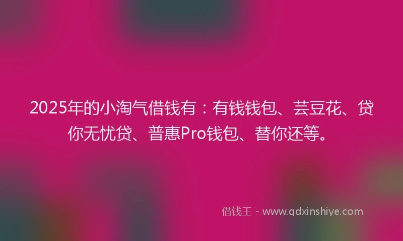 2025年的小淘气借钱有：有钱钱包、芸豆花、贷你无忧贷、普惠Pro钱包、替你还等。