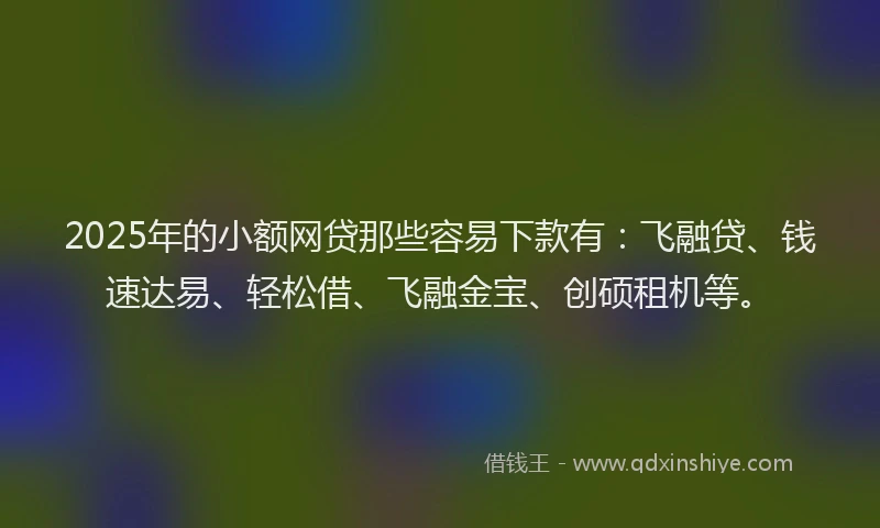2025年的小额网贷那些容易下款有：飞融贷、钱速达易、轻松借、飞融金宝、创硕租机等。