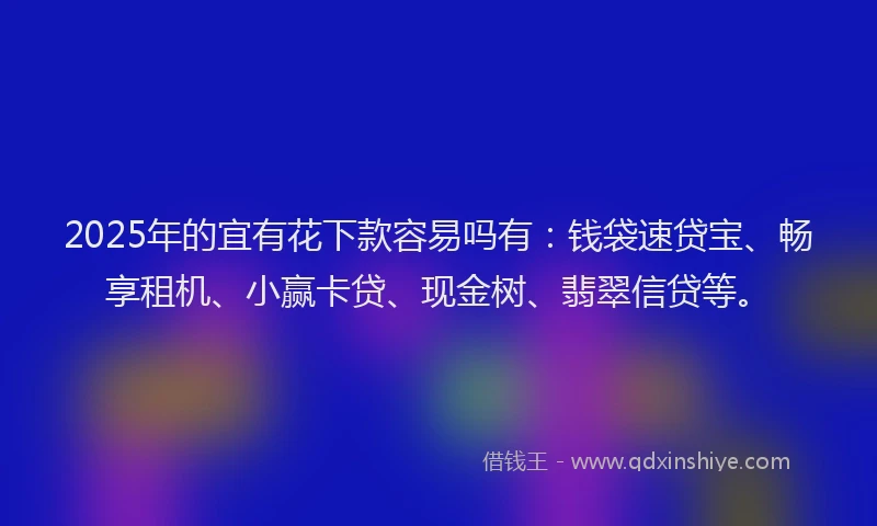2025年的宜有花下款容易吗有：钱袋速贷宝、畅享租机、小赢卡贷、现金树、翡翠信贷等。
