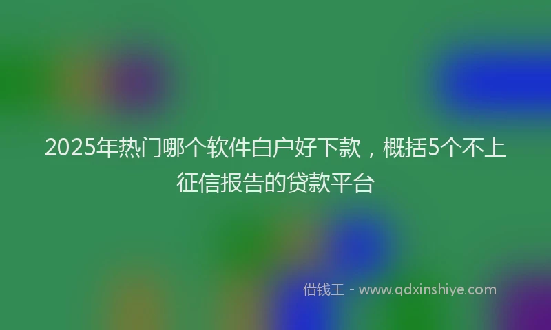 2025年热门哪个软件白户好下款，概括5个不上征信报告的贷款平台