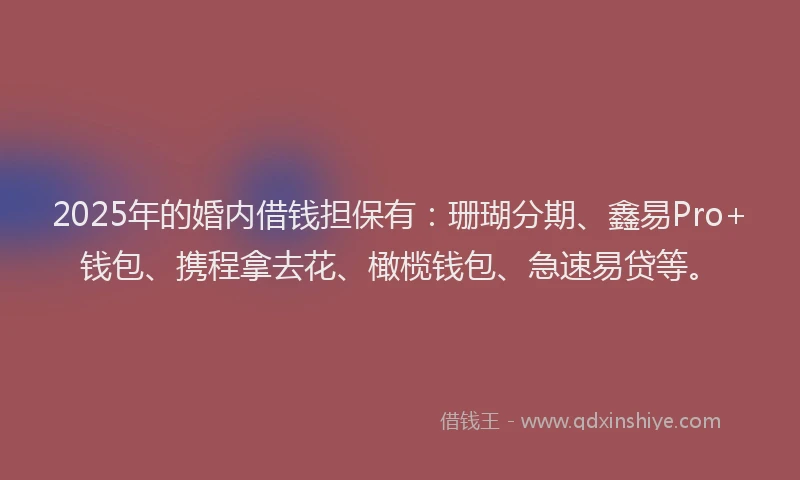 2025年的婚内借钱担保有：珊瑚分期、鑫易Pro+钱包、携程拿去花、橄榄钱包、急速易贷等。