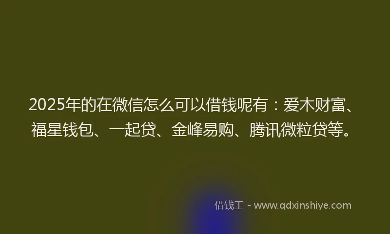 2025年的在微信怎么可以借钱呢有：爱木财富、福星钱包、一起贷、金峰易购、腾讯微粒贷等。