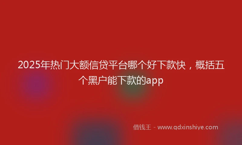 2025年热门大额信贷平台哪个好下款快，概括五个黑户能下款的app