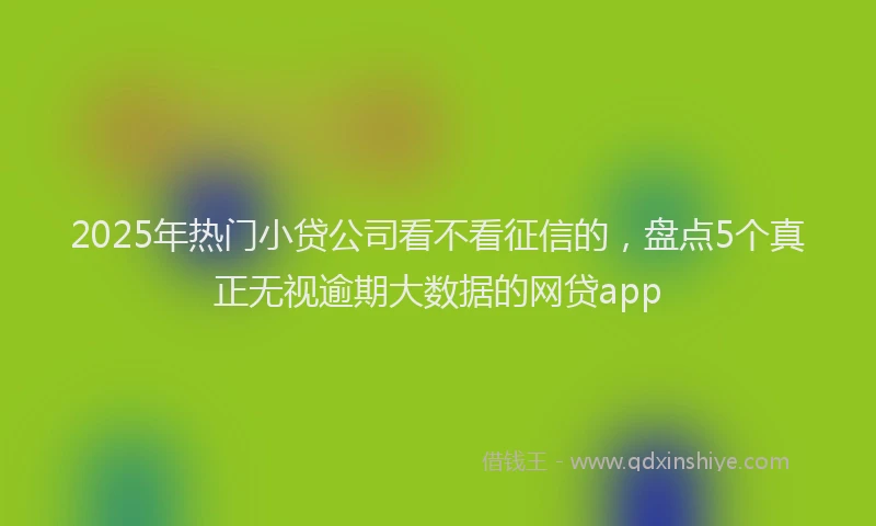 2025年热门小贷公司看不看征信的，盘点5个真正无视逾期大数据的网贷app