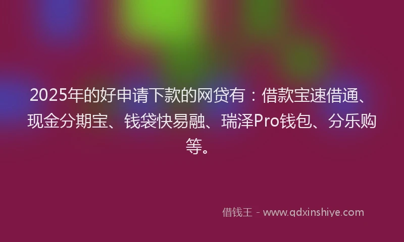 2025年的好申请下款的网贷有：借款宝速借通、现金分期宝、钱袋快易融、瑞泽Pro钱包、分乐购等。
