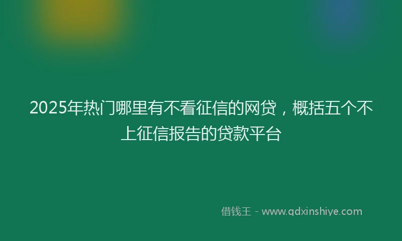 2025年热门哪里有不看征信的网贷，概括五个不上征信报告的贷款平台
