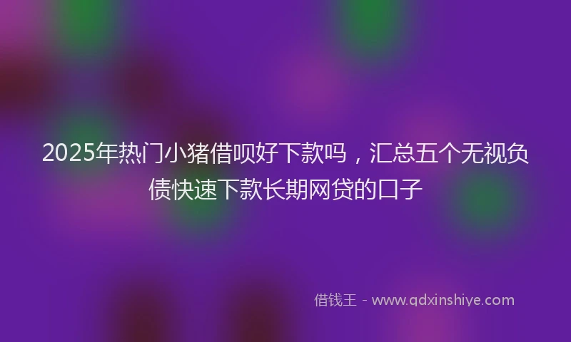 2025年热门小猪借呗好下款吗，汇总五个无视负债快速下款长期网贷的口子