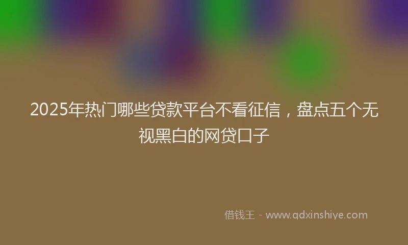 2025年热门哪些贷款平台不看征信，盘点五个无视黑白的网贷口子