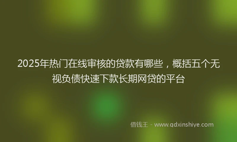 2025年热门在线审核的贷款有哪些，概括五个无视负债快速下款长期网贷的平台